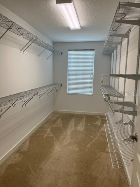 6325 FLAT LEMON DR, WINTER GARDEN, FL, 34787