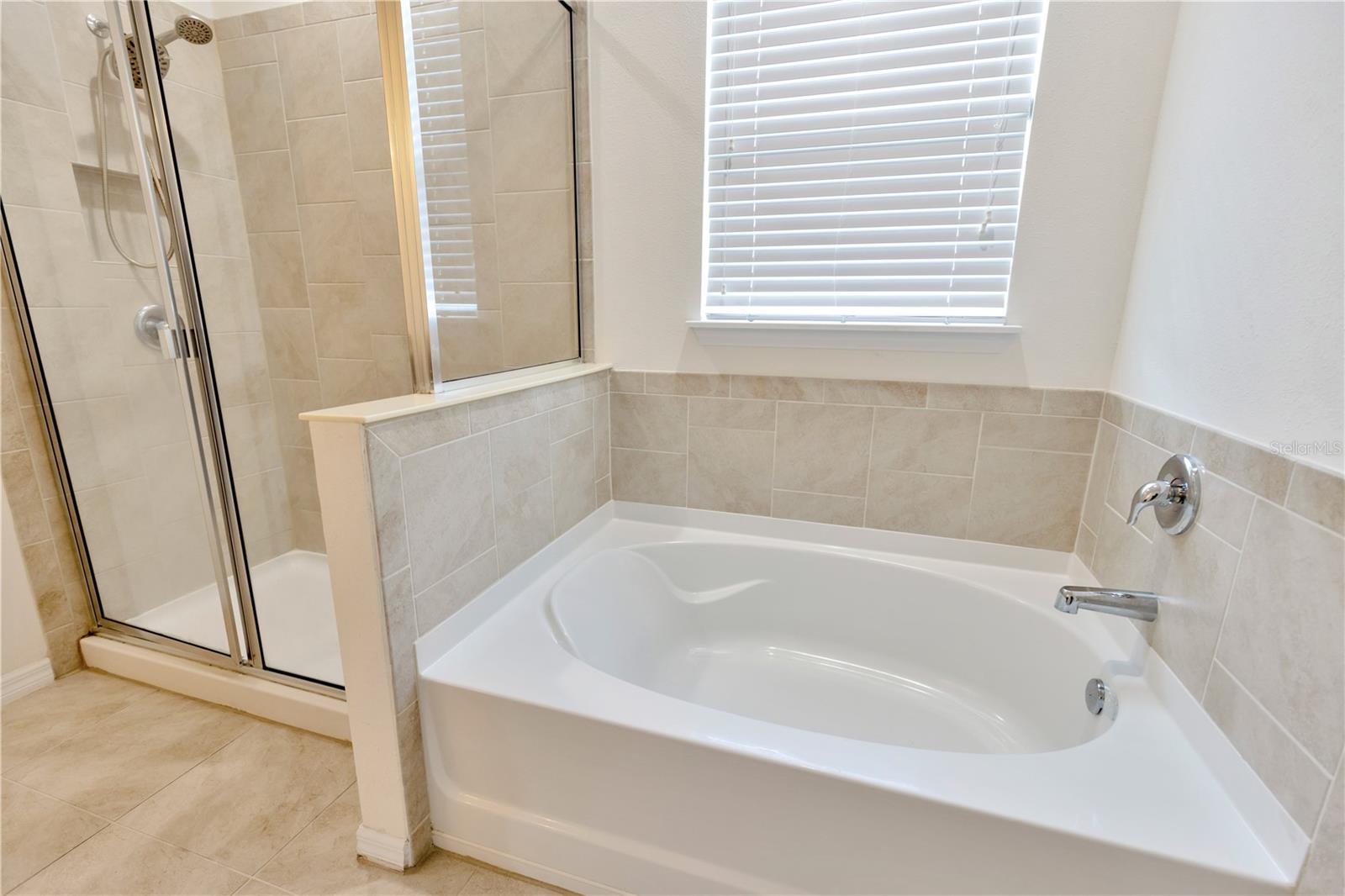 10434 SCENIC HOLLOW DR, RIVERVIEW, FL, 33578