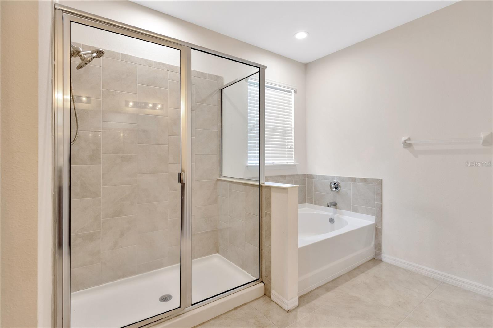 10434 SCENIC HOLLOW DR, RIVERVIEW, FL, 33578