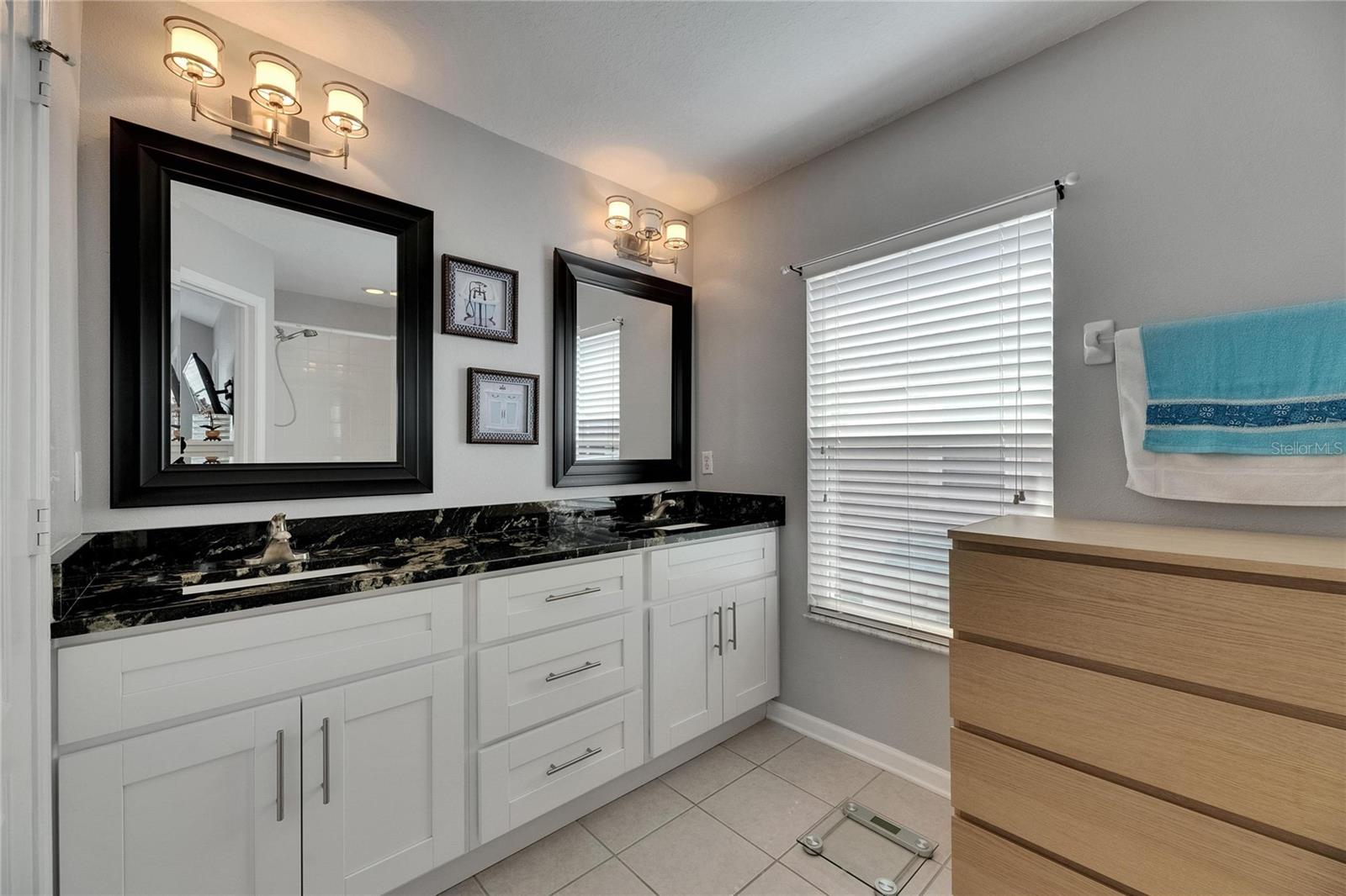 26610 CASTLEVIEW WAY, WESLEY CHAPEL, FL, 33544