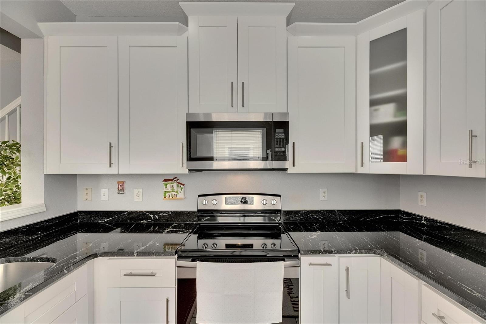 26610 CASTLEVIEW WAY, WESLEY CHAPEL, FL, 33544