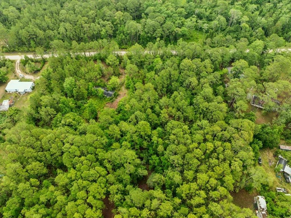 1756 HAZELNUT ST, BUNNELL, FL, 32110