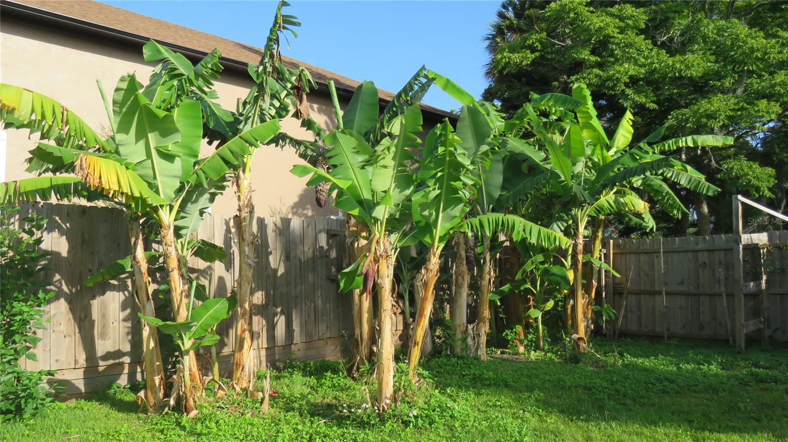 114 HICKORY ST, NEW SMYRNA BEACH, FL, 32168