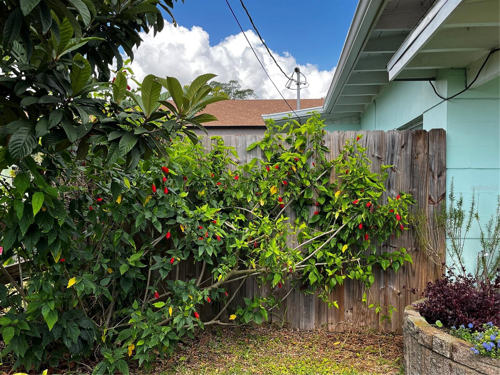 114 HICKORY ST, NEW SMYRNA BEACH, FL, 32168