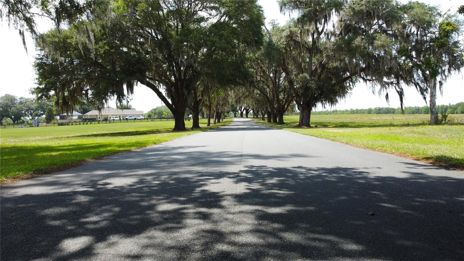 0000 SE 116TH PLACE RD, OCALA, FL, 34480