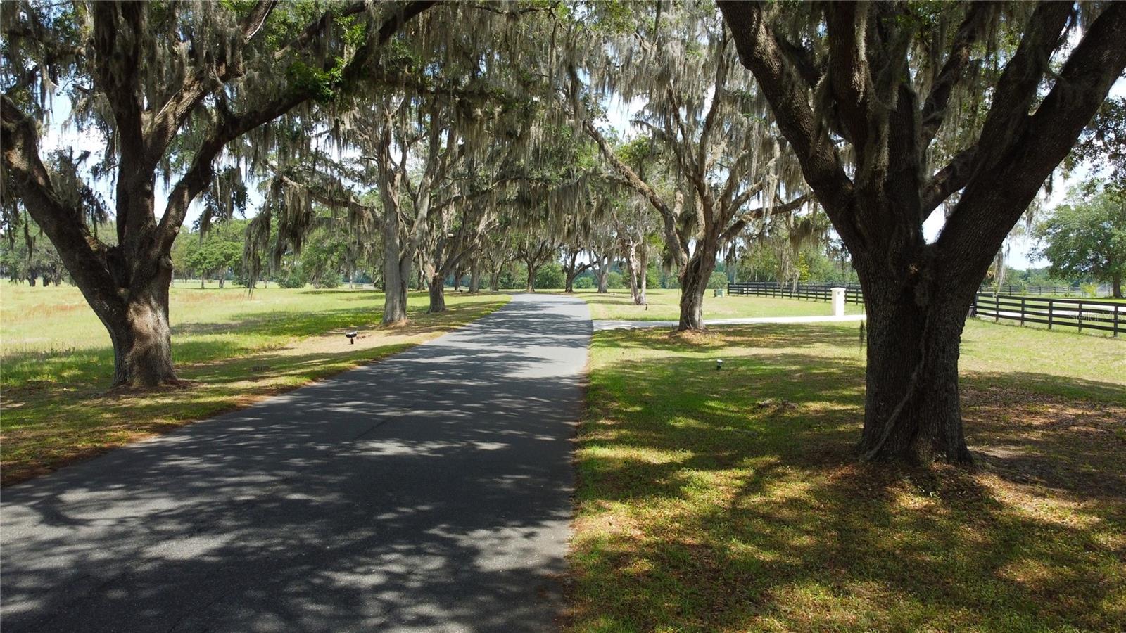 0000 SE 116TH PLACE RD, OCALA, FL, 34480