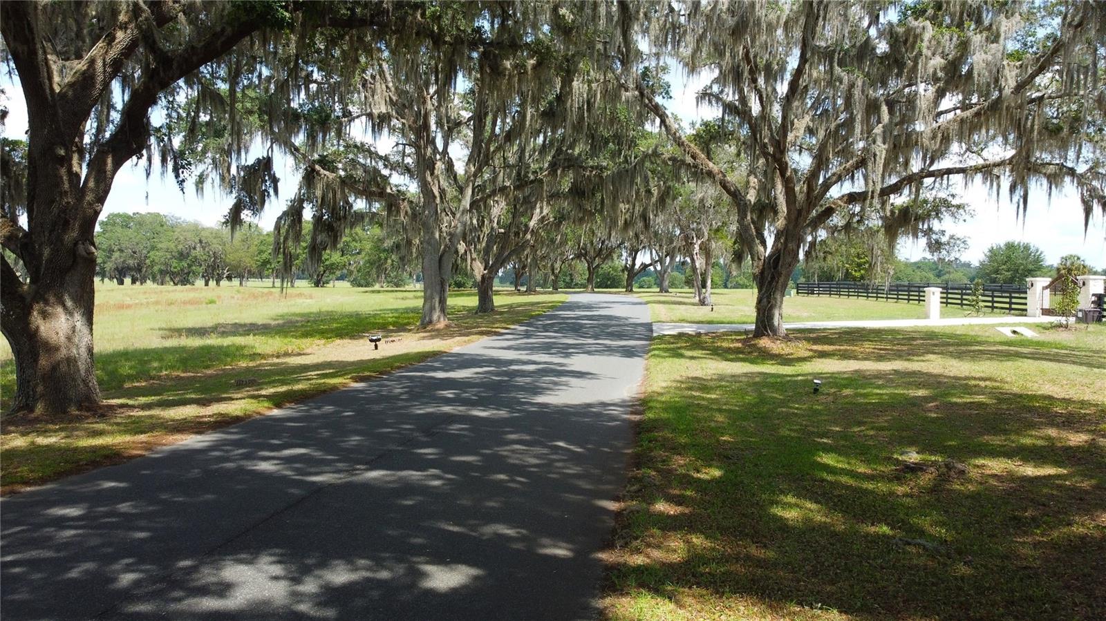 0000 SE 116TH PLACE RD, OCALA, FL, 34480