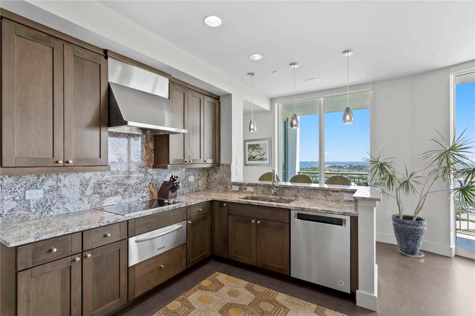 450 KNIGHTS RUN AVE #1704, TAMPA, FL, 33602