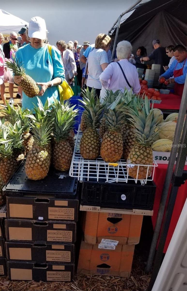 2117 MICHIGAN AVE, ENGLEWOOD, FL, 34224