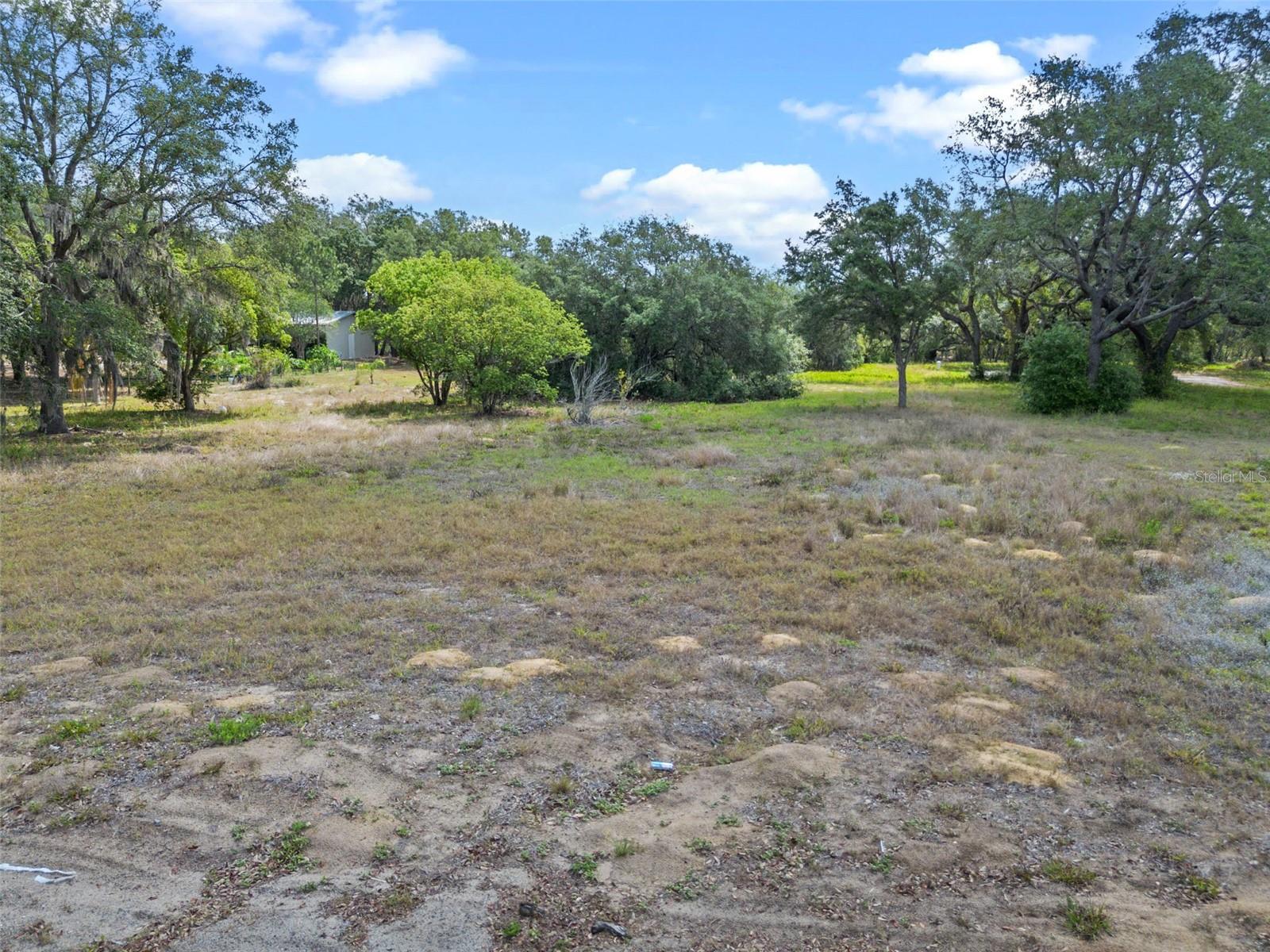 4521 AVALON RD, WINTER GARDEN, FL, 34787