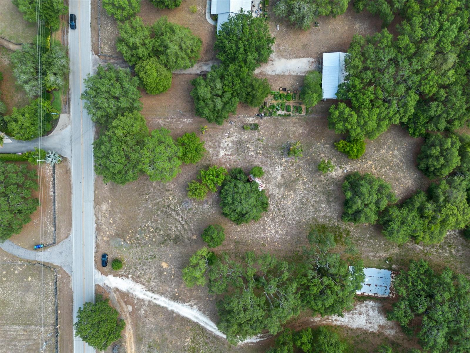 4521 AVALON RD, WINTER GARDEN, FL, 34787