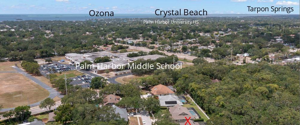 1951 DOWNING PL, PALM HARBOR, FL, 34683