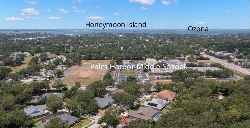 1951 DOWNING PL, PALM HARBOR, FL, 34683