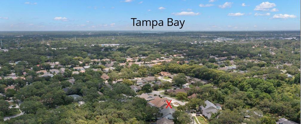 1951 DOWNING PL, PALM HARBOR, FL, 34683