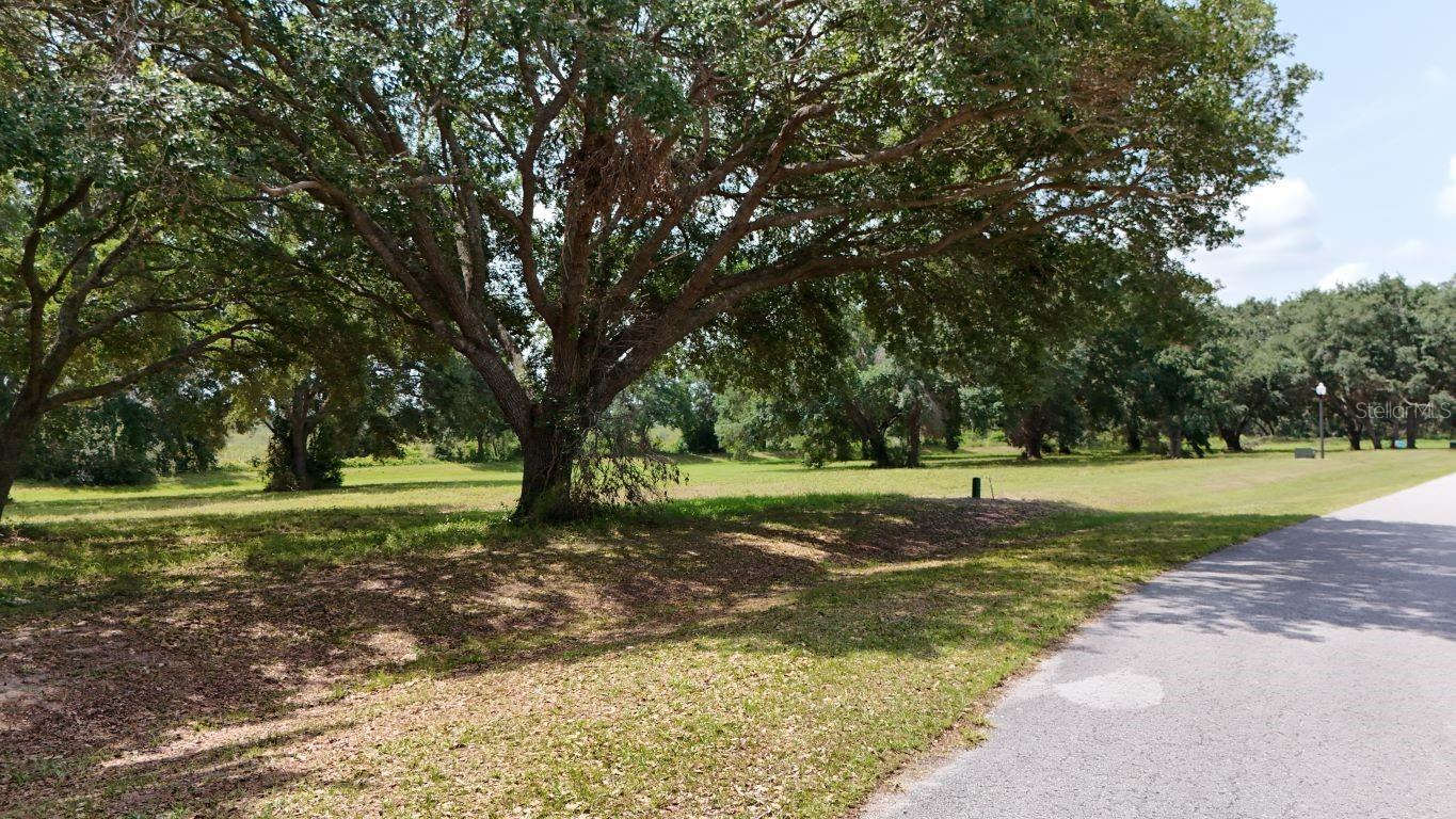 ROYAL PALM DR #Lot 34, GROVELAND, FL, 34736