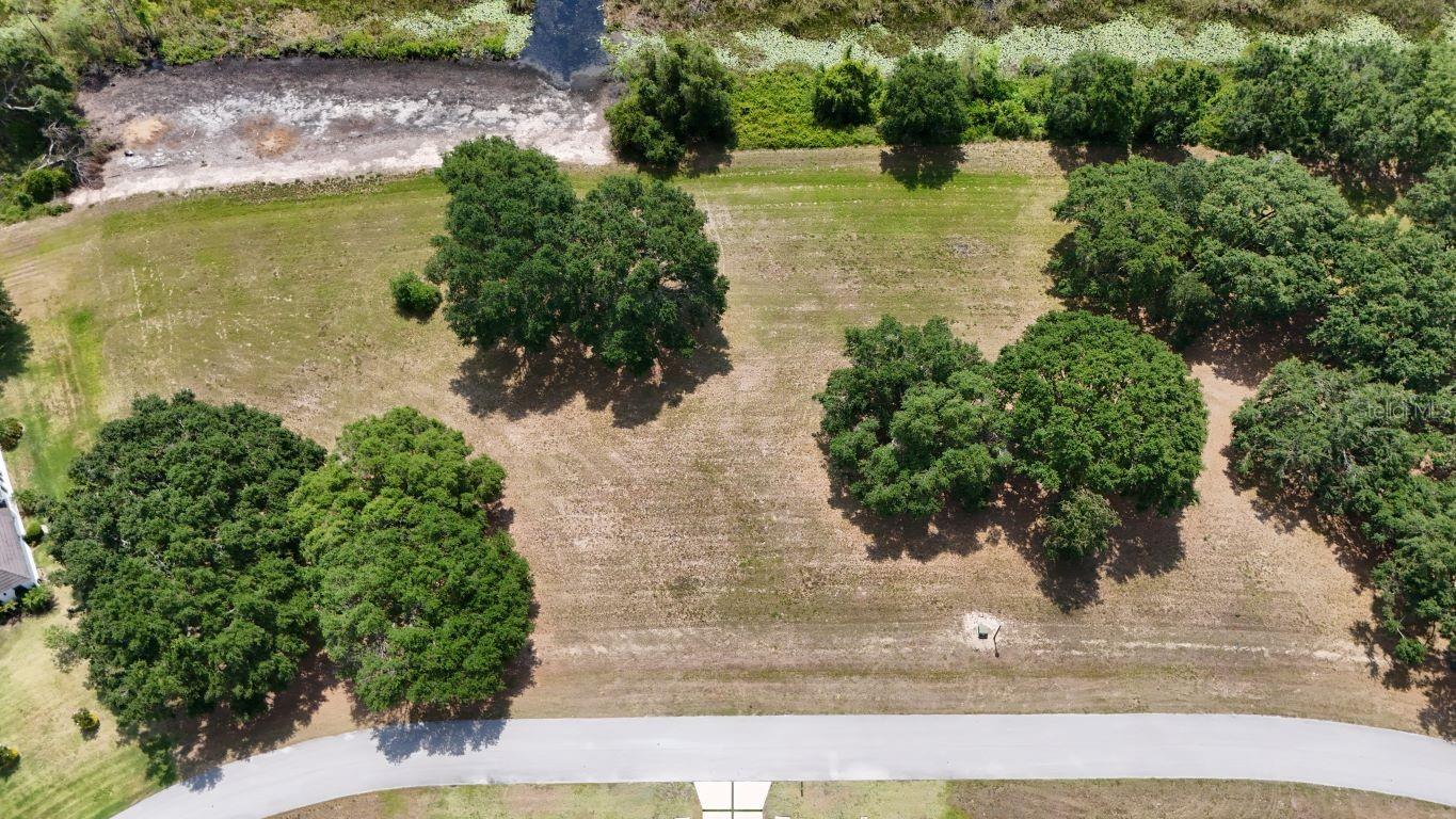 ROYAL PALM DR #Lot 34, GROVELAND, FL, 34736