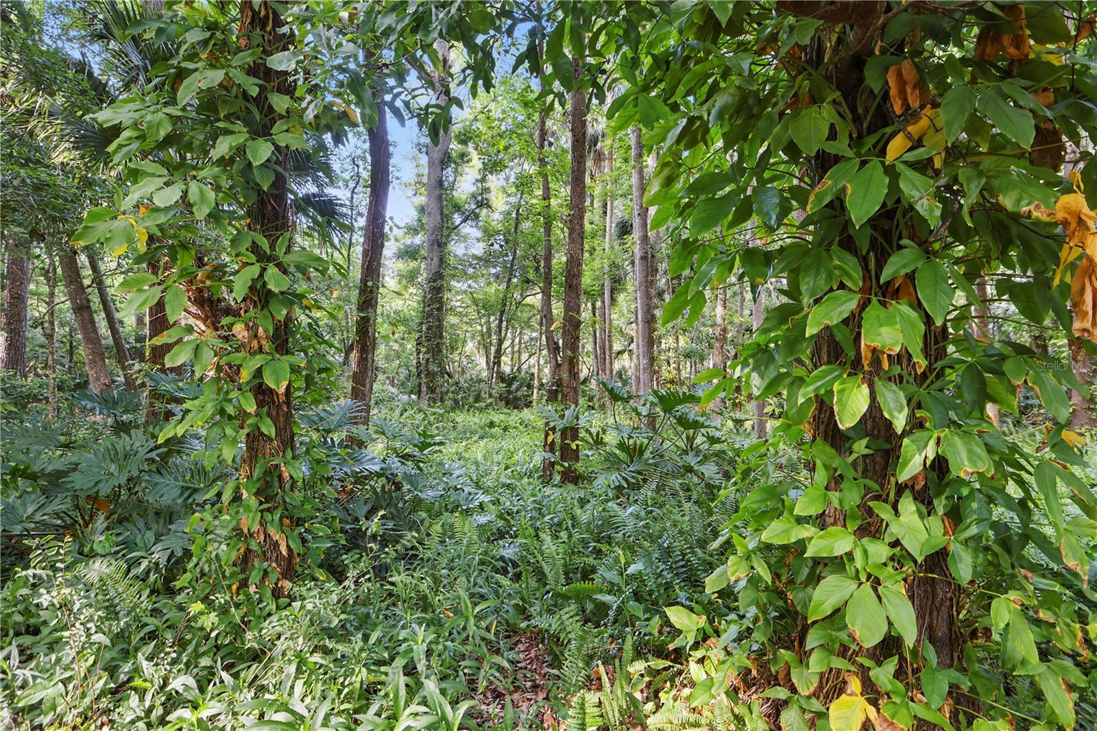 628 RIVERPARK CIR, LONGWOOD, FL, 32779