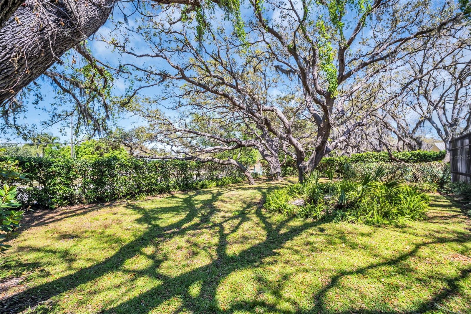 2834 PHEASANT RUN, CLEARWATER, FL, 33759