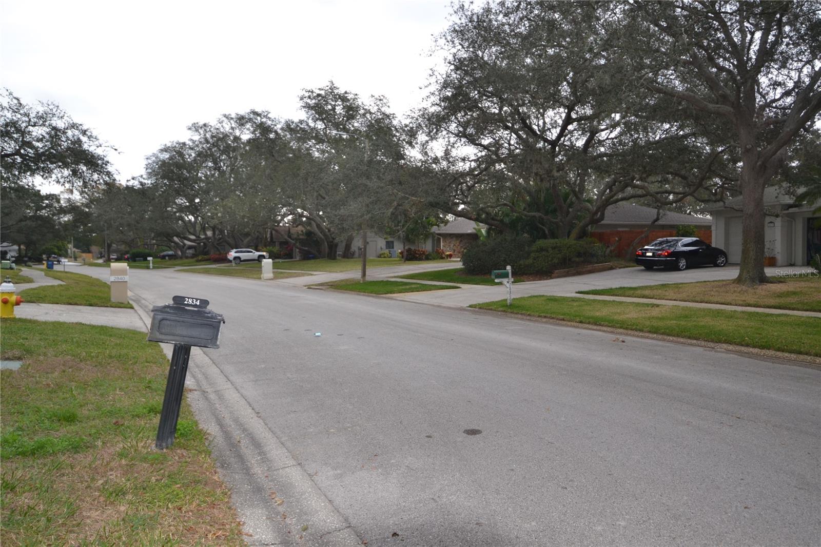 2834 PHEASANT RUN, CLEARWATER, FL, 33759