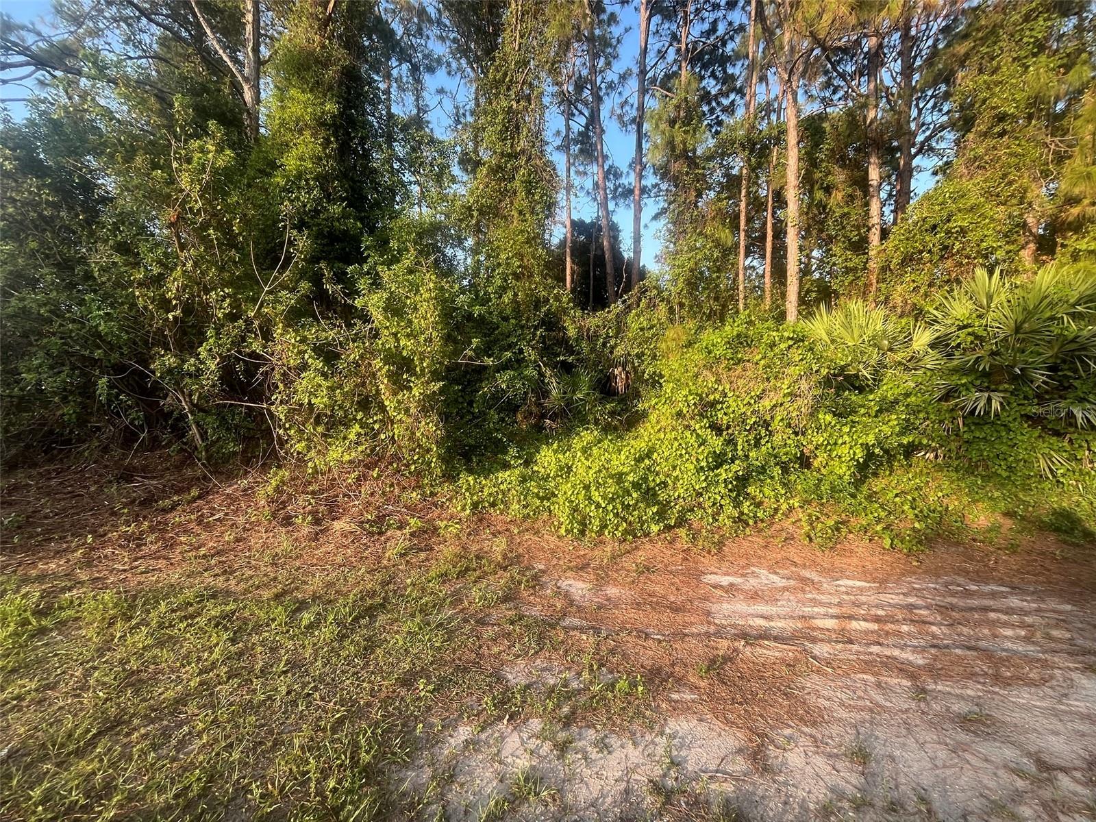 1749 HAYWORTH CIR NW, PALM BAY, FL, 32907