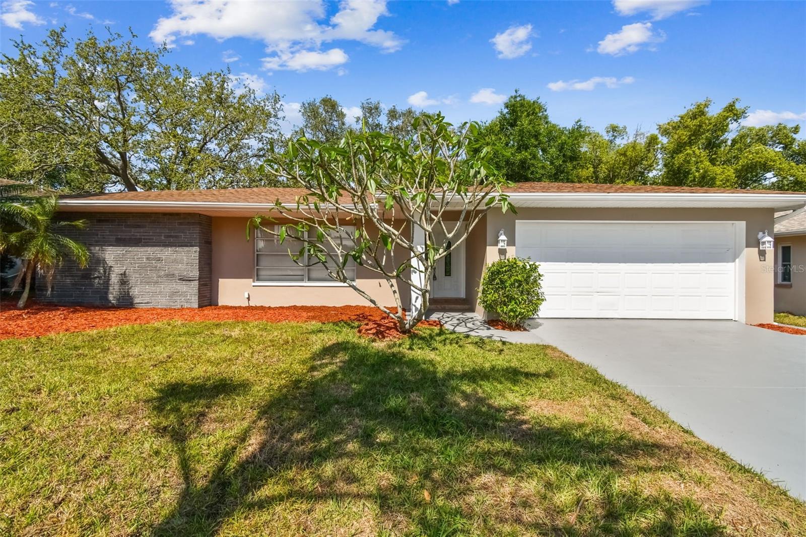 3249 PARKWAY PL, PALM HARBOR, FL, 34684