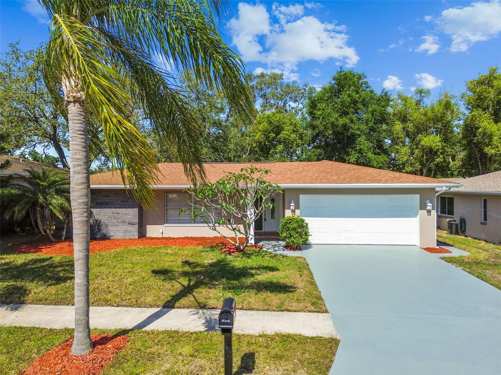 3249 PARKWAY PL, PALM HARBOR, FL, 34684