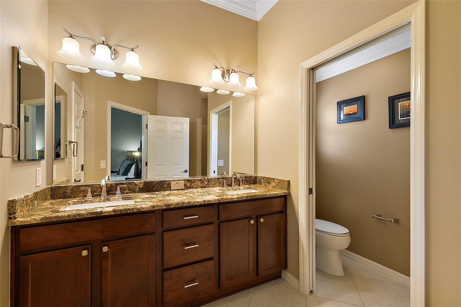 1053 ALCOVE LOOP, THE VILLAGES, FL, 32162