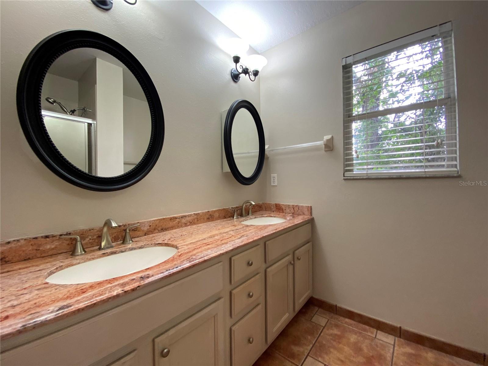 3791 LAKE MIRAGE BLVD, ORLANDO, FL, 32817