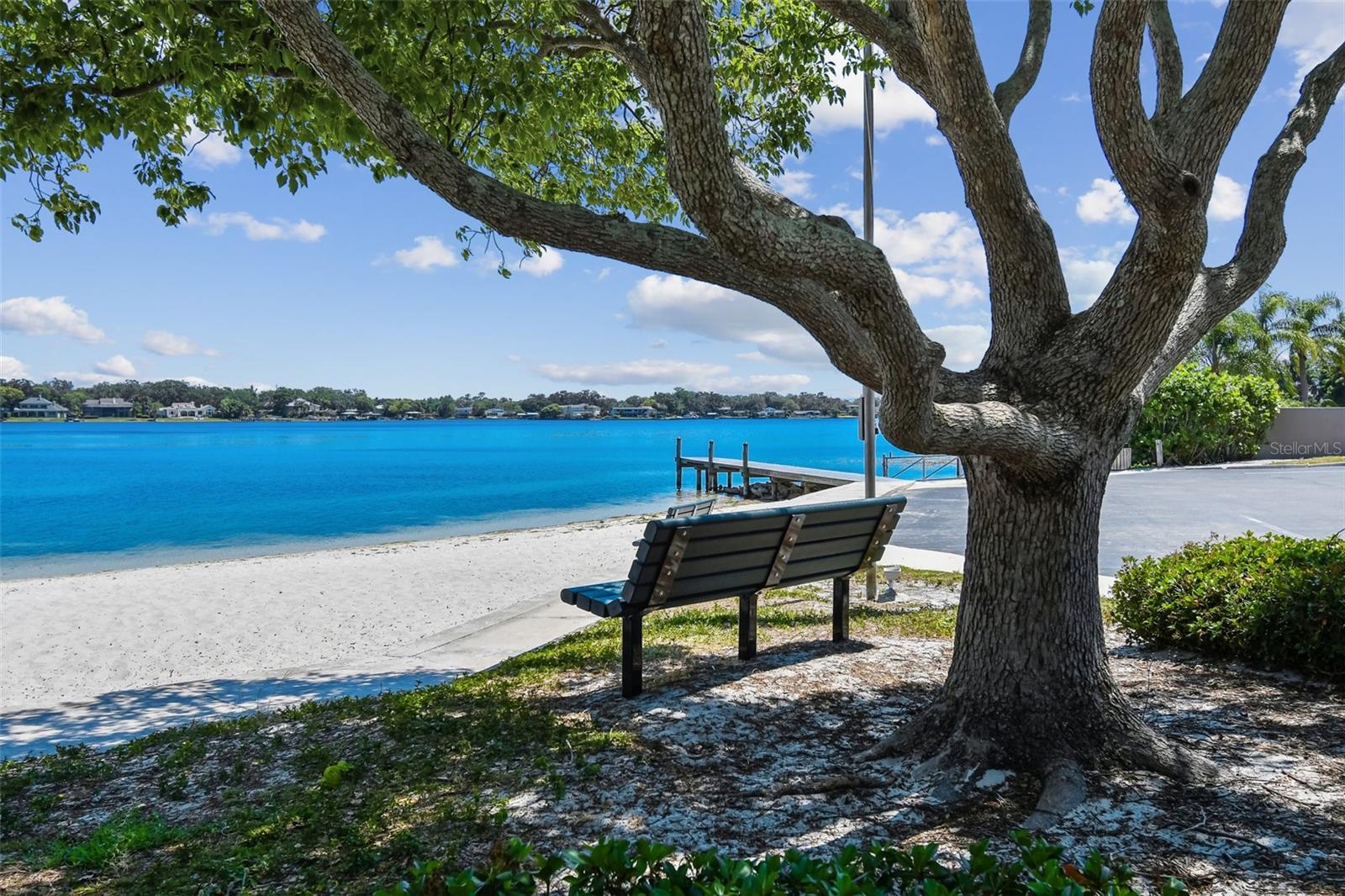 3304 LATANIA DR, TAMPA, FL, 33618