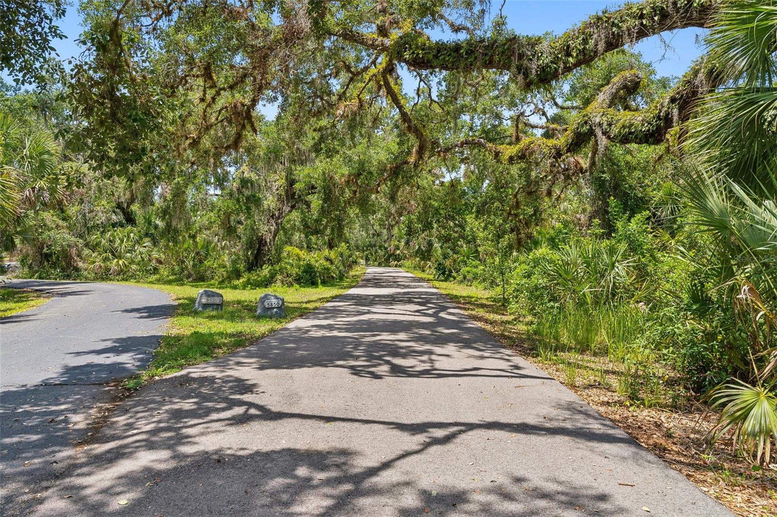 N6138843 Property Photo