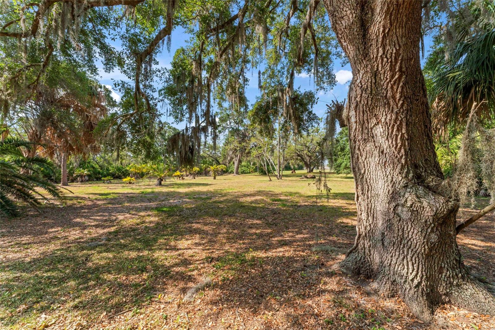 13025 MEMORIAL HWY, TAMPA, FL, 33635