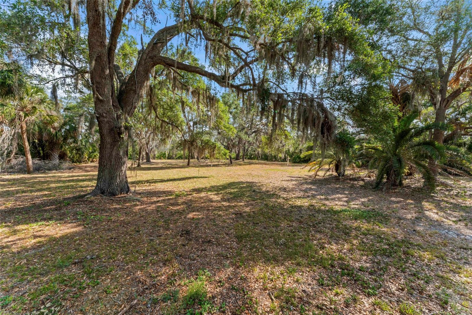 13025 MEMORIAL HWY, TAMPA, FL, 33635