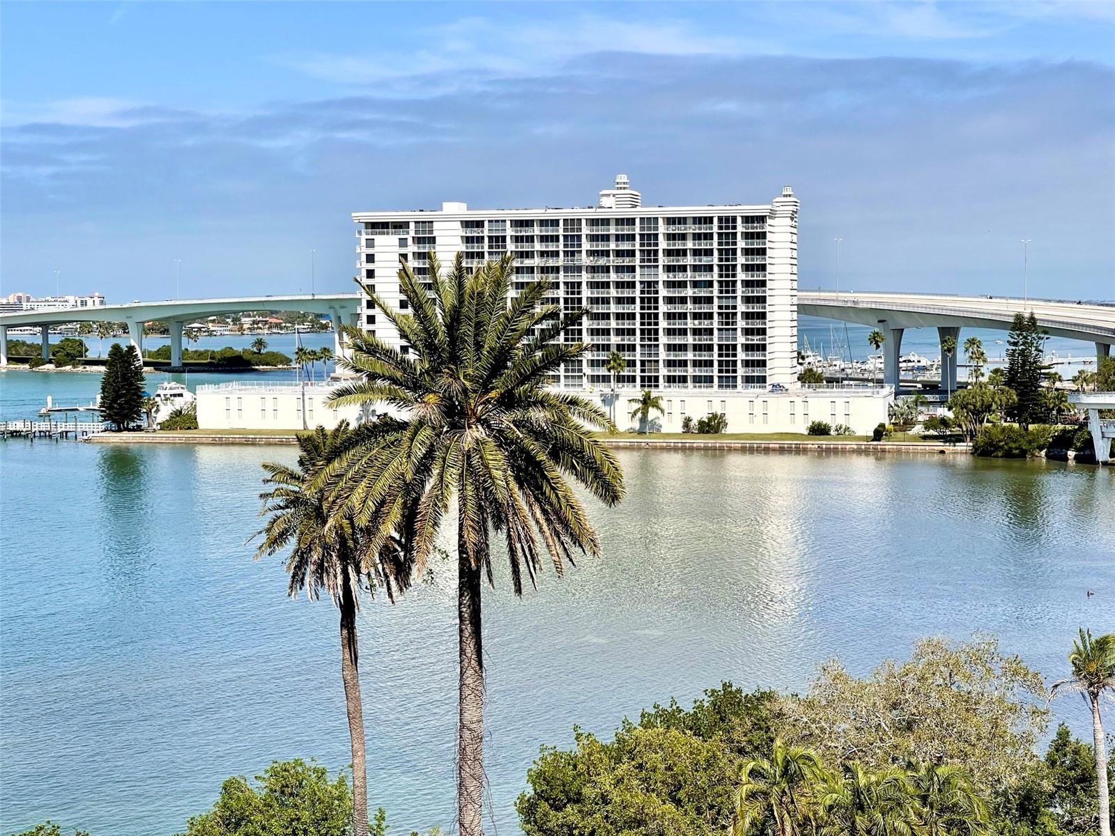 80 ROGERS ST #6D, CLEARWATER, FL, 33756