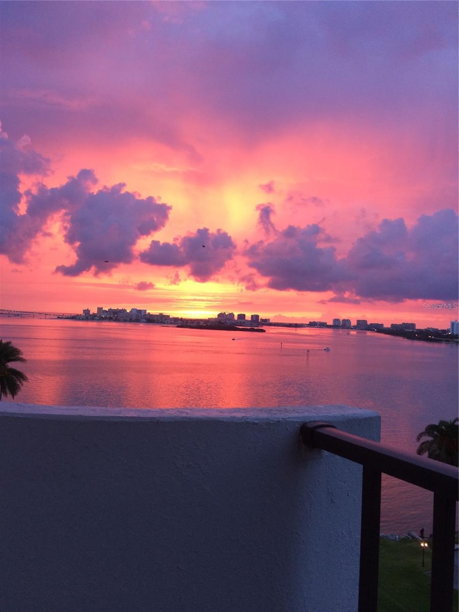 80 ROGERS ST #6D, CLEARWATER, FL, 33756