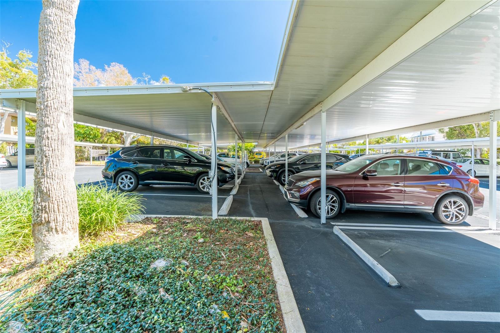 80 ROGERS ST #6D, CLEARWATER, FL, 33756