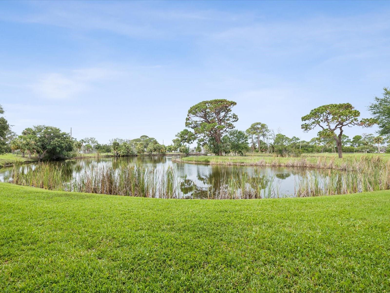 1532 CITRINE TRL, TARPON SPRINGS, FL, 34689