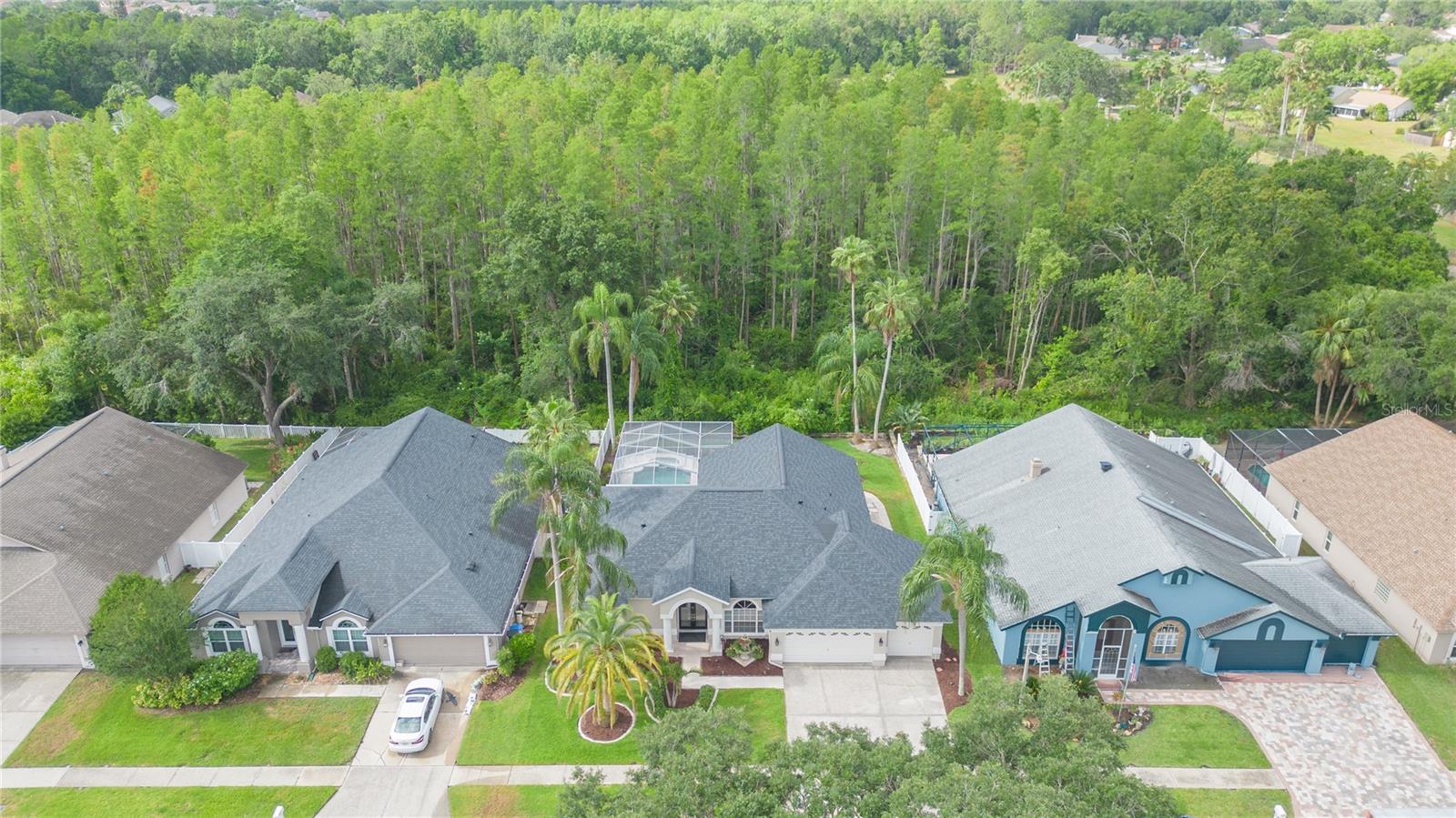 10002 COLONNADE DR, TAMPA, FL, 33647