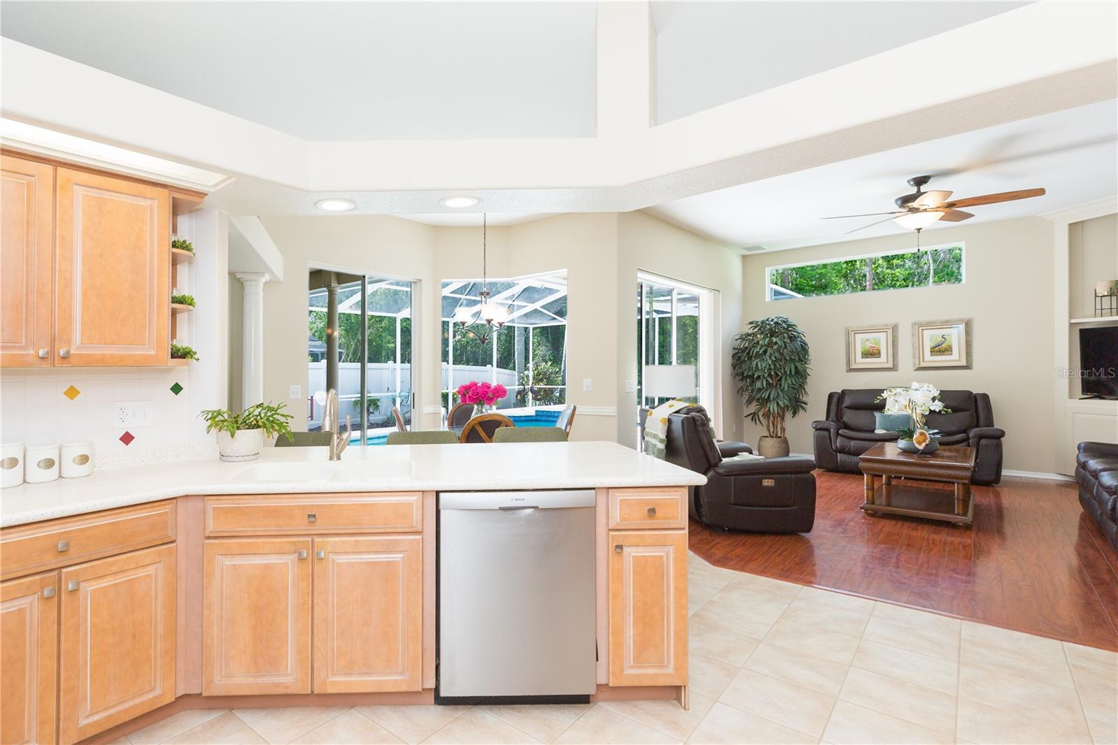 10002 COLONNADE DR, TAMPA, FL, 33647