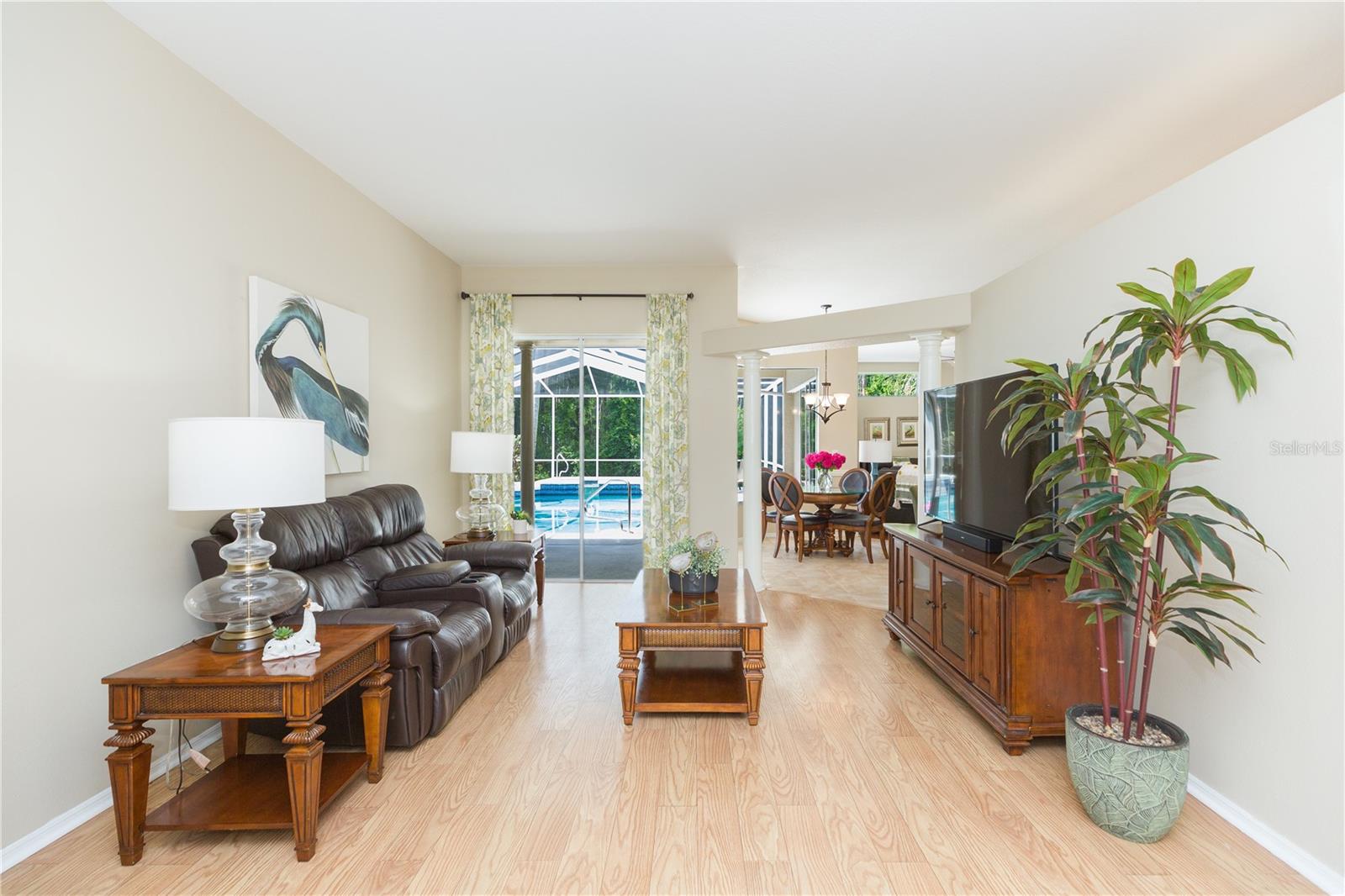 10002 COLONNADE DR, TAMPA, FL, 33647