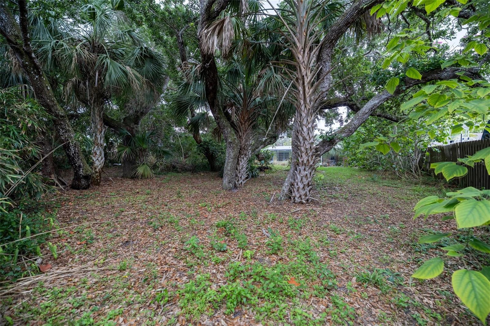 2107 SAXON DR, NEW SMYRNA BEACH, FL, 32169
