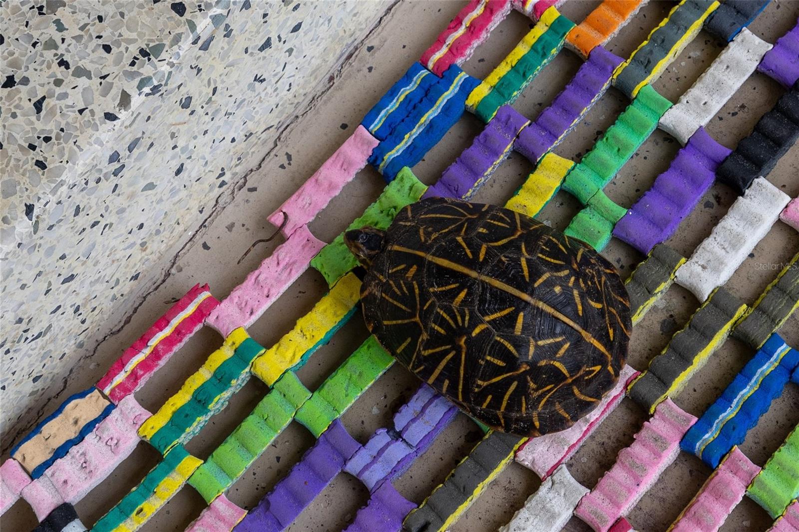 2107 SAXON DR, NEW SMYRNA BEACH, FL, 32169