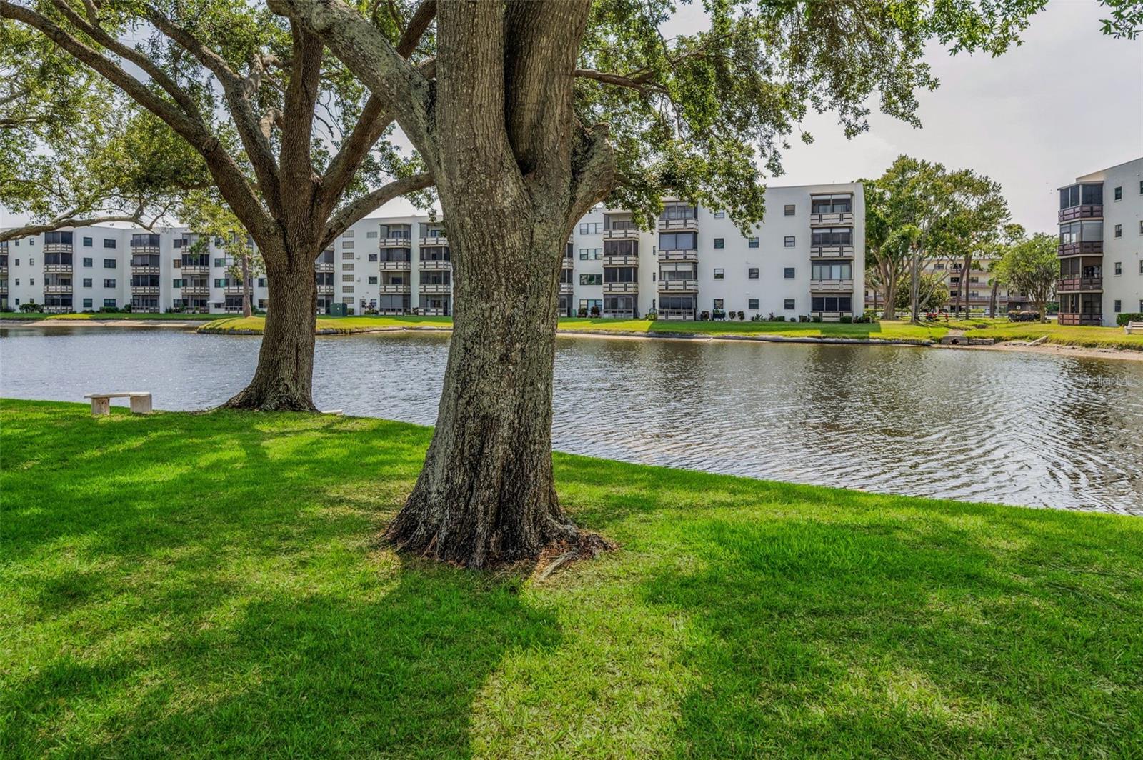 6190 80TH ST N #411, ST PETERSBURG, FL, 33709