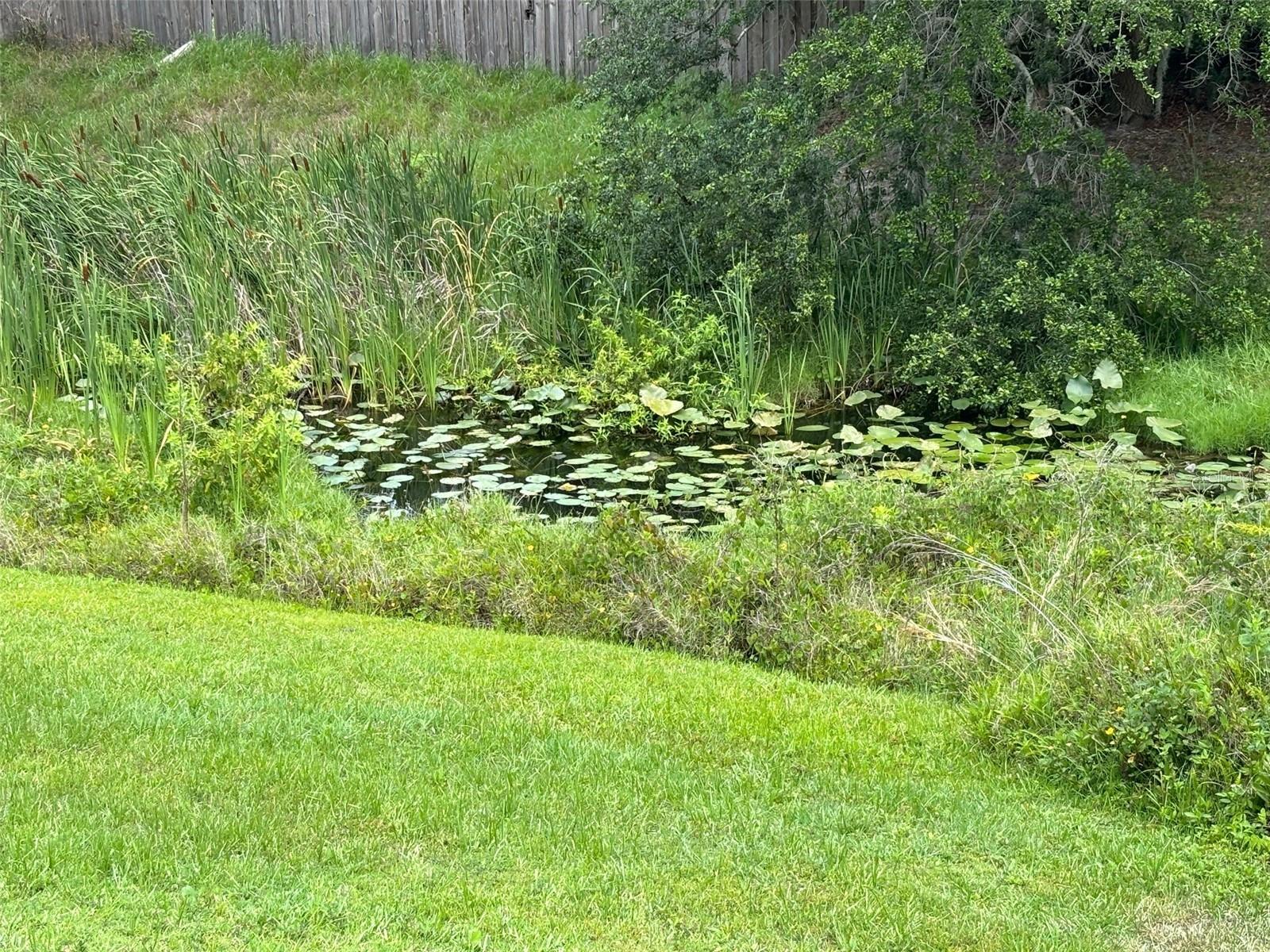 4643 FERN PINE DR, ORLANDO, FL, 32808