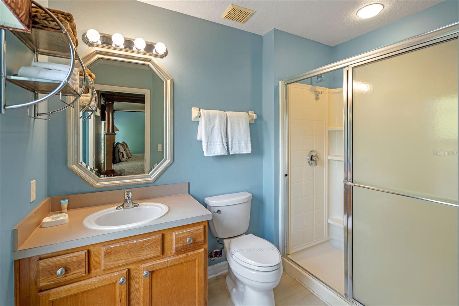 3015 YELLOW LANTANA LN, KISSIMMEE, FL, 34747