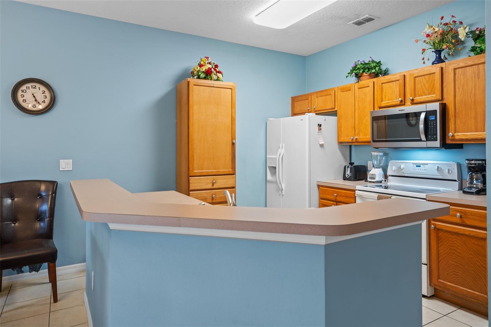 3015 YELLOW LANTANA LN, KISSIMMEE, FL, 34747