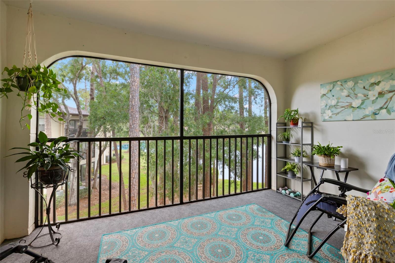 3399 MERMOOR DR #301, PALM HARBOR, FL, 34685