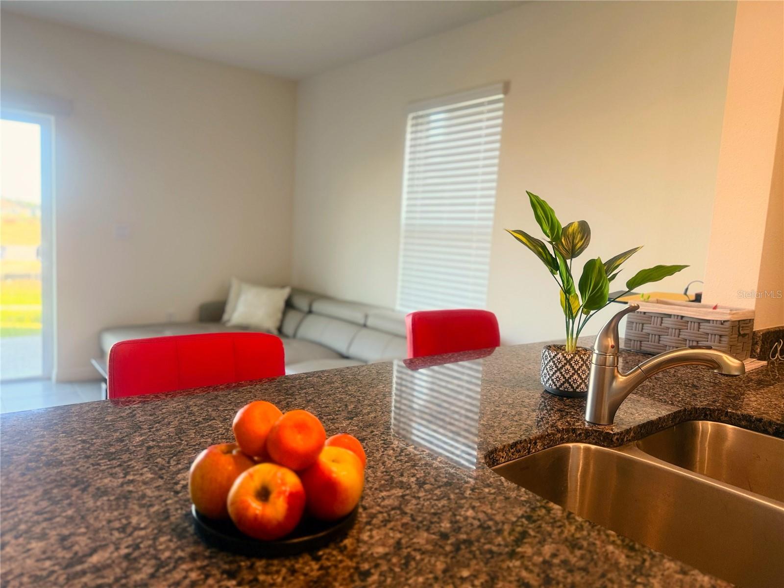 1727 WOODEN ST, DAVENPORT, FL, 33837