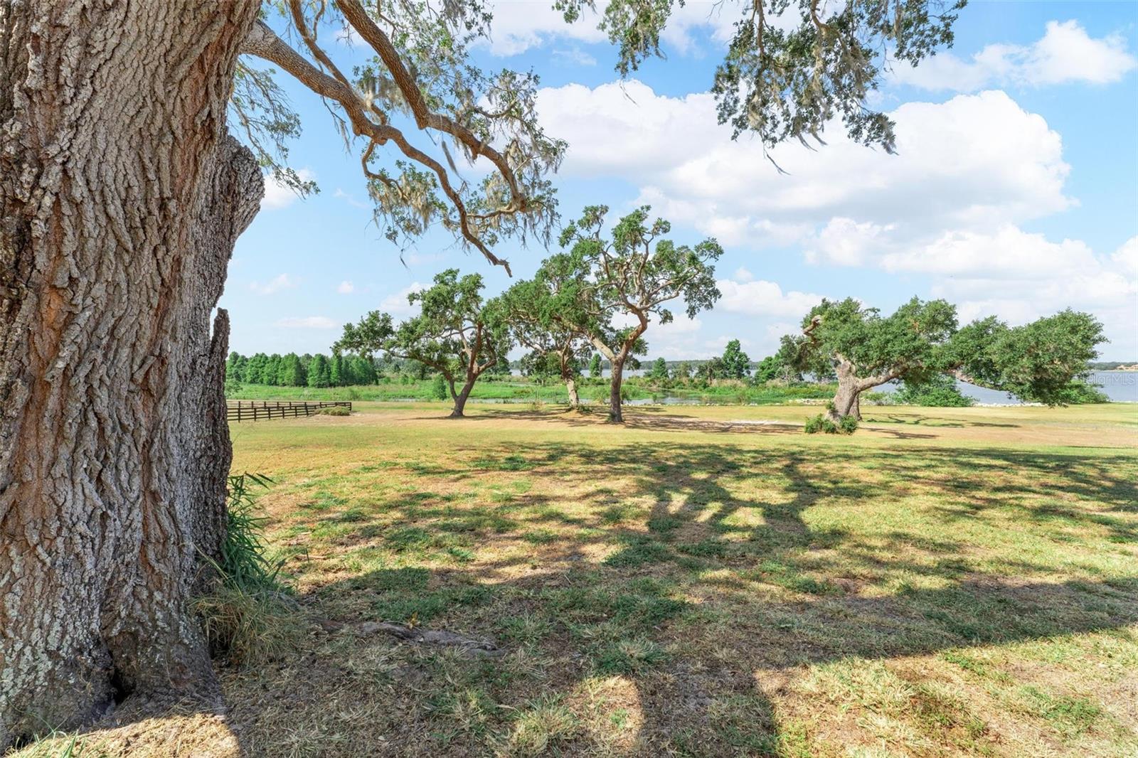 LOT 30 STONELAKE RANCH BLVD, THONOTOSASSA, FL, 33592