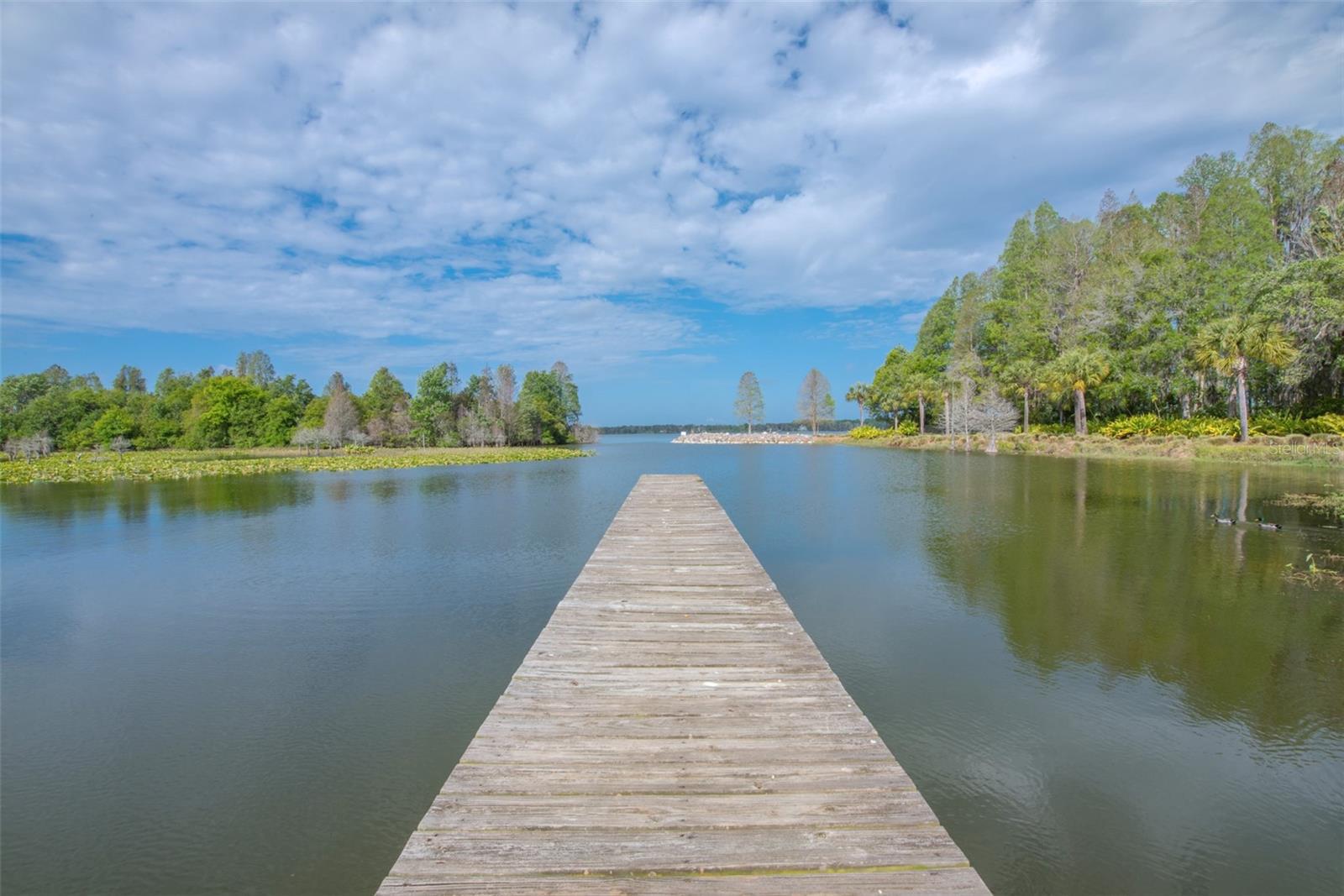 LOT 30 STONELAKE RANCH BLVD, THONOTOSASSA, FL, 33592