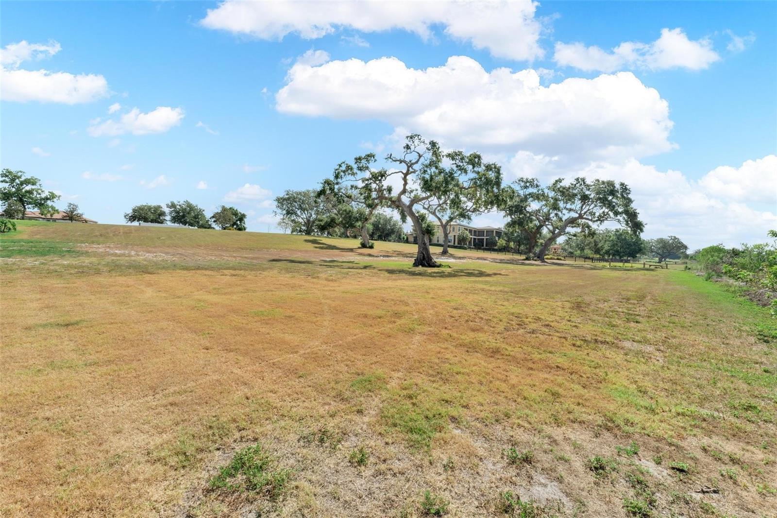 LOT 30 STONELAKE RANCH BLVD, THONOTOSASSA, FL, 33592